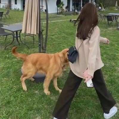了不起的女侠 在线观看