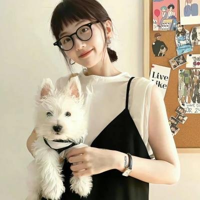 叙梦入局 在线观看